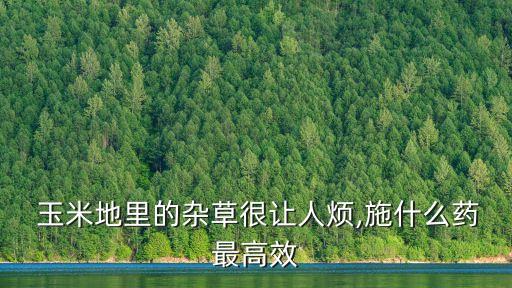 玉米打什么農(nóng)藥除草快些,什么農(nóng)藥除草效果最好