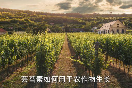 云苔素是什么農藥,有一種草藥叫云苔是什么