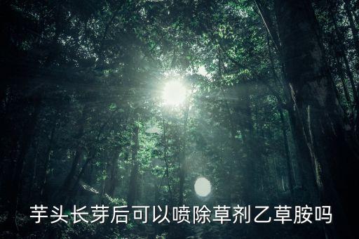  芋頭長芽后可以噴除草劑乙草胺嗎