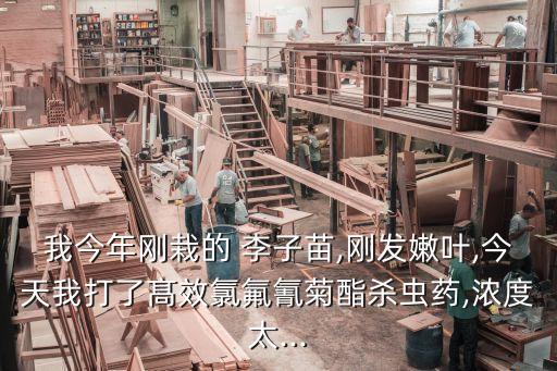 李子花蕾打什么農藥,李子可以噴什么綠色農藥