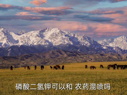 農(nóng)藥和什么肥料混配,農(nóng)藥混配順序是按什么規(guī)則