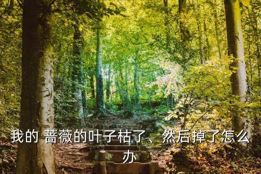 我的 薔薇的葉子枯了、然后掉了怎么辦