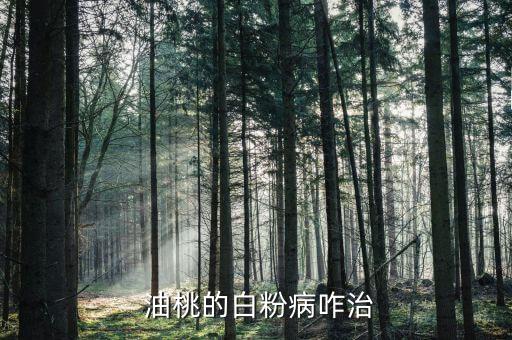  油桃的白粉病咋治