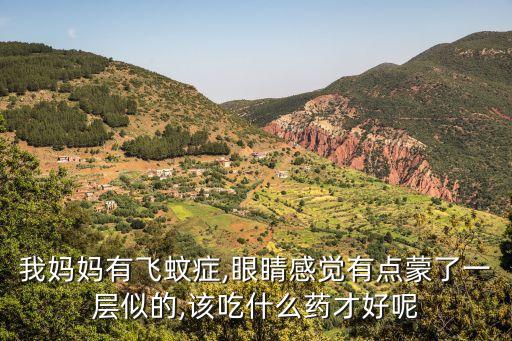 我媽媽有飛蚊癥,眼睛感覺有點蒙了一層似的,該吃什么藥才好呢