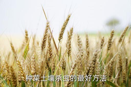  種菜土壤殺蟲的最好方法