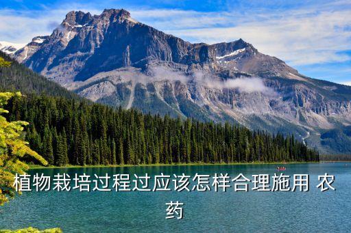 植物栽培過程過應該怎樣合理施用 農藥