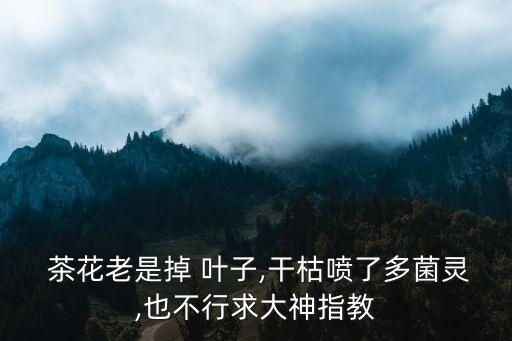 茶花噴什么農藥葉子綠,茶花換盆葉子發干卷曲還能活嗎