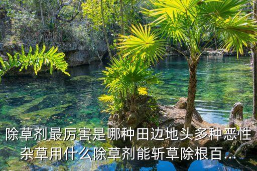 地里廬草用什么農(nóng)藥殺死