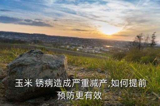 玉米銹病用什么農(nóng)藥,防治玉米銹病的首選農(nóng)藥