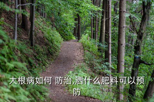 用什么農藥防治根瘤菌,果實蠅用什么農藥防治?