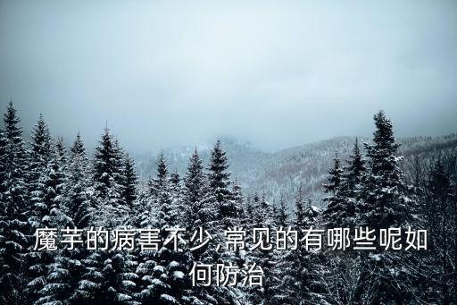  魔芋的病害不少,常見的有哪些呢如何防治