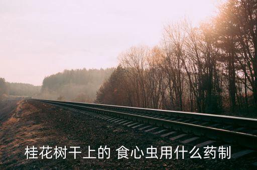 桂花樹干上的 食心蟲用什么藥制