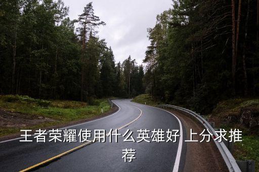 王者農(nóng)藥玩什么上分,農(nóng)藥,我要玩王者榮