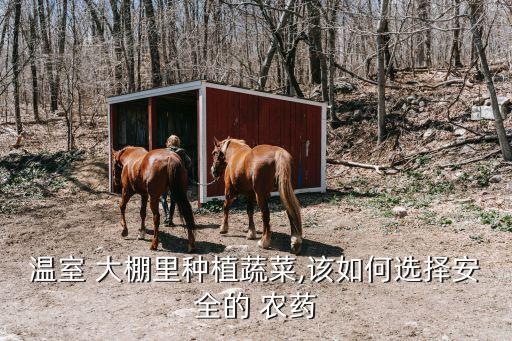 大棚打農(nóng)藥最佳時間,大棚用什么打農(nóng)藥