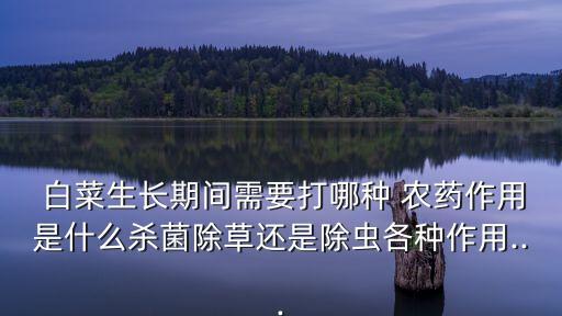 什么農藥不能噴白菜葉子,白菜上有蟲用什么農藥效果好