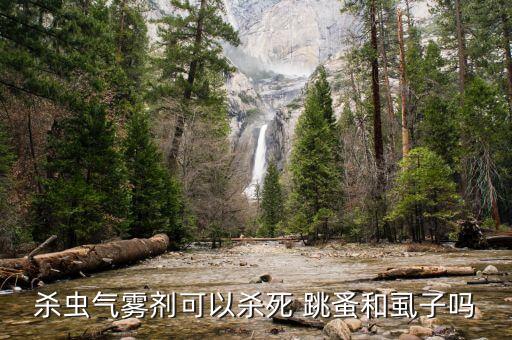 什么農藥可以殺跳蚤臭蟲,地跳蚤用什么農藥治