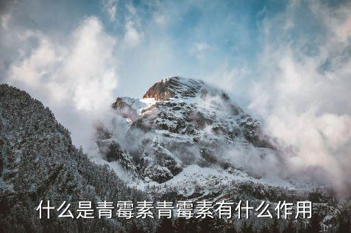 BPO是什么農(nóng)藥,財務bpo是什么意思啊