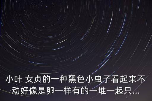 灌木女貞有蟲打什么農(nóng)藥,女貞灌木
