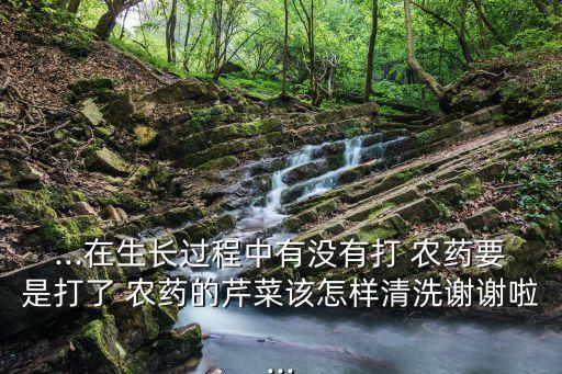 ...在生長過程中有沒有打 農藥要是打了 農藥的芹菜該怎樣清洗謝謝啦...