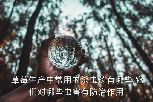  草莓生產(chǎn)中常用的殺蟲藥有哪些,它們對哪些蟲害有防治作用