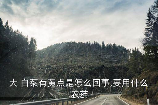 大 白菜有黃點是怎么回事,要用什么 農藥