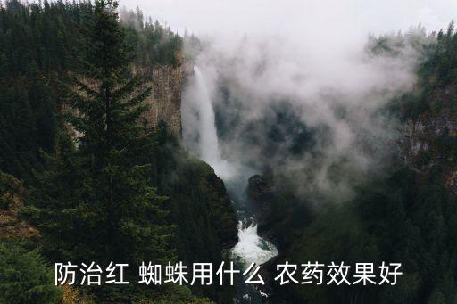 防治紅 蜘蛛用什么 農藥效果好