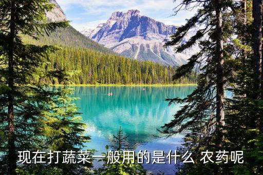 菜上紫色農藥是什么藥物,紫色的油菜花是什么菜