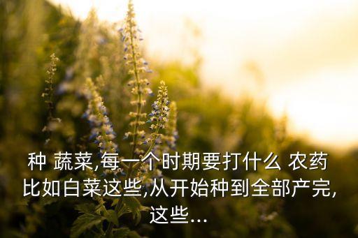 蔬菜為什么打農藥,現在的蔬菜都打農藥嗎