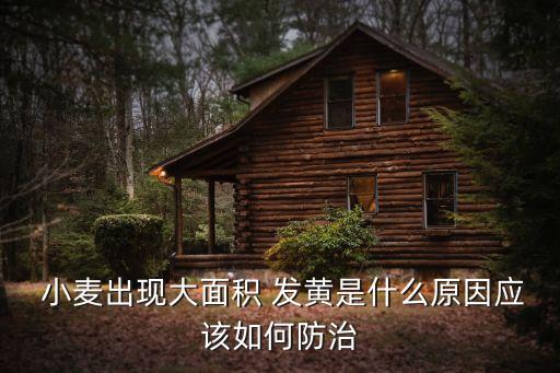 小麥麥尖發(fā)黃用什么農(nóng)藥,小麥尖發(fā)黃是怎么回事