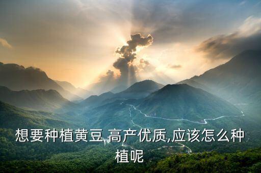 高產(chǎn)豆打什么農(nóng)藥最好呢,芝麻打什么農(nóng)藥高產(chǎn)