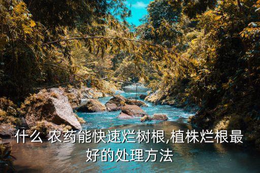 什么 農藥能快速爛樹根,植株爛根最好的處理方法