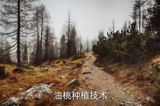  油桃種植技術