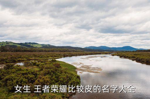 王者農藥鬼才是什么,打王者農藥是什么意思