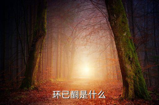 造農藥有個什么酮