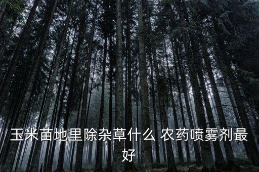 農(nóng)田除草蟲用什么農(nóng)藥好,什么農(nóng)藥除草效果最好