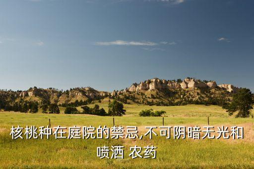 桃核樹最怕什么農(nóng)藥,廣玉蘭樹怕什么農(nóng)藥