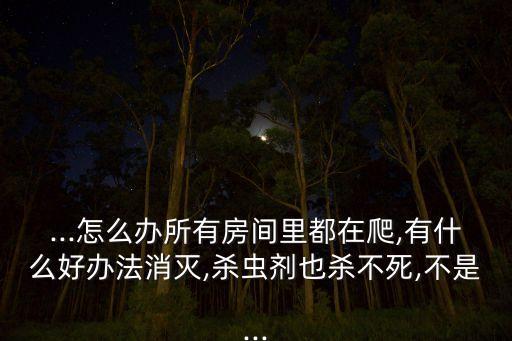 蟲思用什么農藥殺死,什么農藥能殺死蚧殼蟲