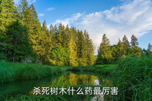 用什么農(nóng)藥能殺樹,有什么農(nóng)藥可以把樹毒死