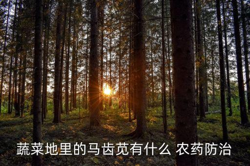 紫色農藥是什么藥材名,紫色的草根是什么藥材