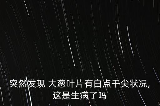 突然發(fā)現(xiàn) 大蔥葉片有白點干尖狀況,這是生病了嗎