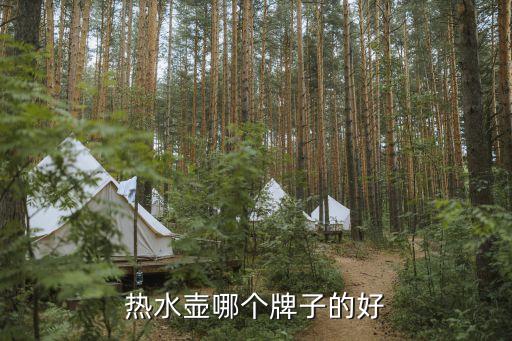 熱水壺哪個牌子的好