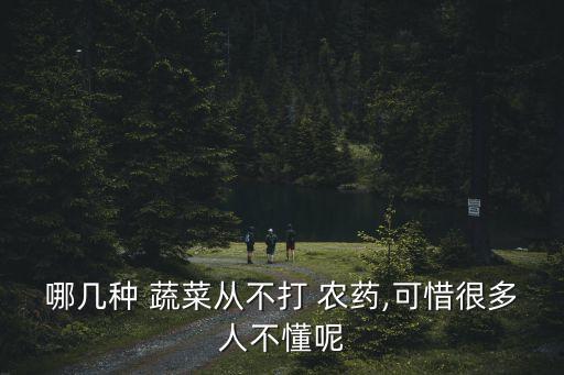 哪幾種 蔬菜從不打 農(nóng)藥,可惜很多人不懂呢