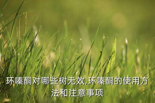 松樹幼林用什么農藥除草