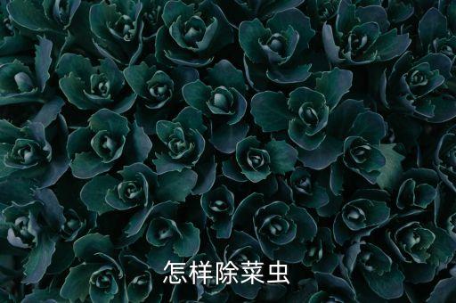 什么農(nóng)藥能消滅菜蟲病,用什么農(nóng)藥可以消滅竹子
