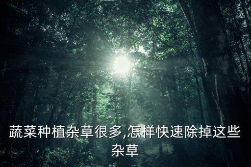 種小青菜用什么農藥除草,青菜打什么農藥效果好