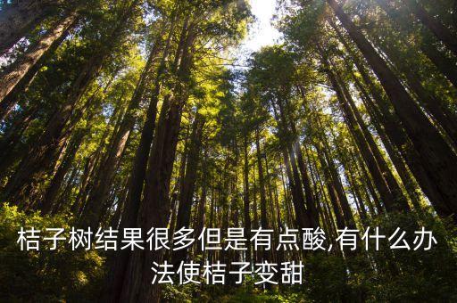 桔子樹結果很多但是有點酸,有什么辦法使桔子變甜