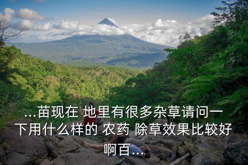 樹林地里打什么農藥除草