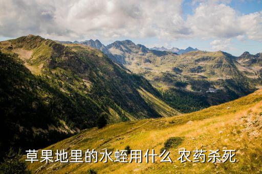 神農(nóng)本草經(jīng)是什么農(nóng)藥