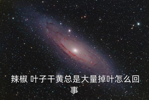 辣椒葉子發(fā)黃打什么農(nóng)藥,辣椒樹葉子發(fā)黃枯萎怎么辦
