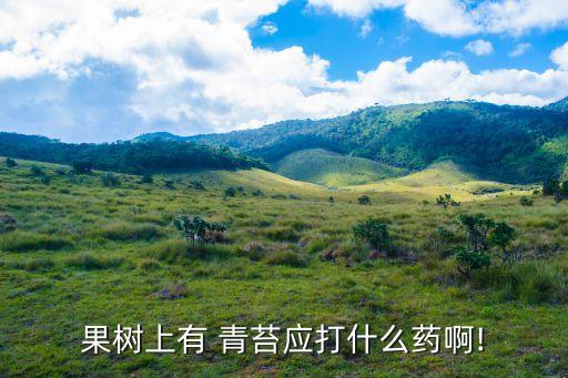 果樹上有 青苔應(yīng)打什么藥啊!